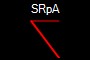 SRpA